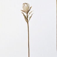 造花 プロテア