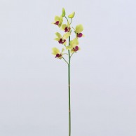 造花 シンビジューム