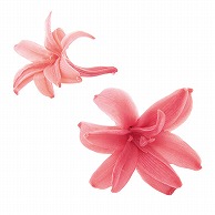 プリザーブドフラワー チューべローズ