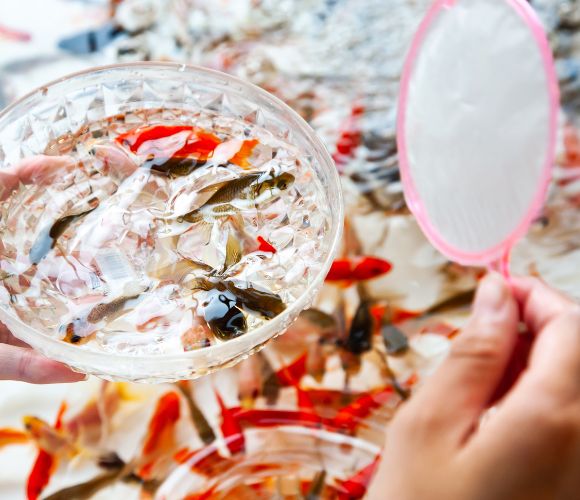 ポイの特徴と金魚すくいのコツ