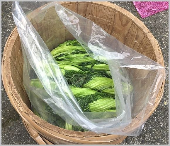 漬物袋(食品対応ポリ袋)の特徴とサイズ