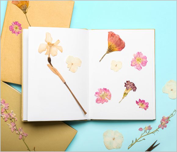 初心者でもカンタン！押し花の作り方と楽しみ方ガイド